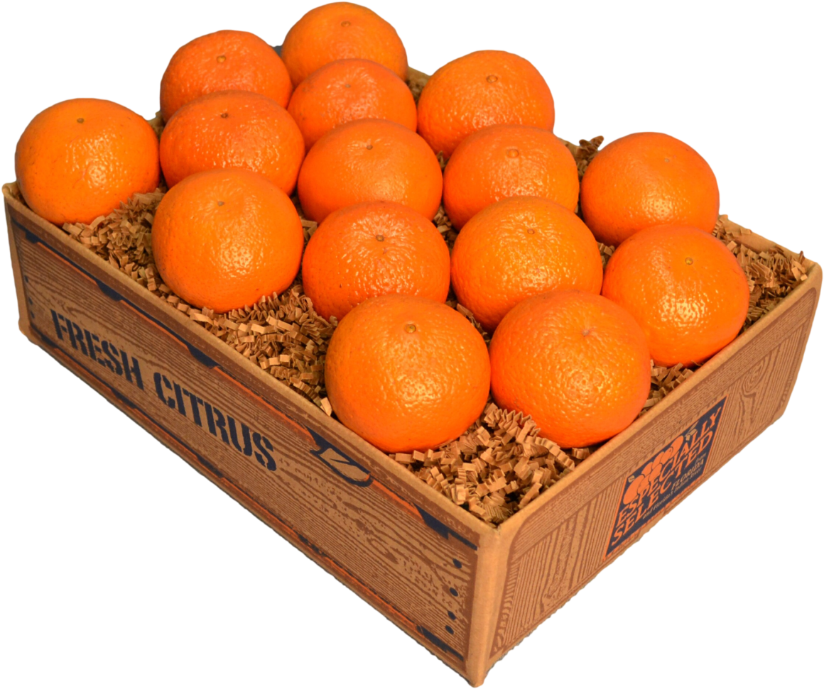 Florida Citrus Temple Oranges Png Temple Oranges - Tangerine Clipart (1280x1015), Png Download