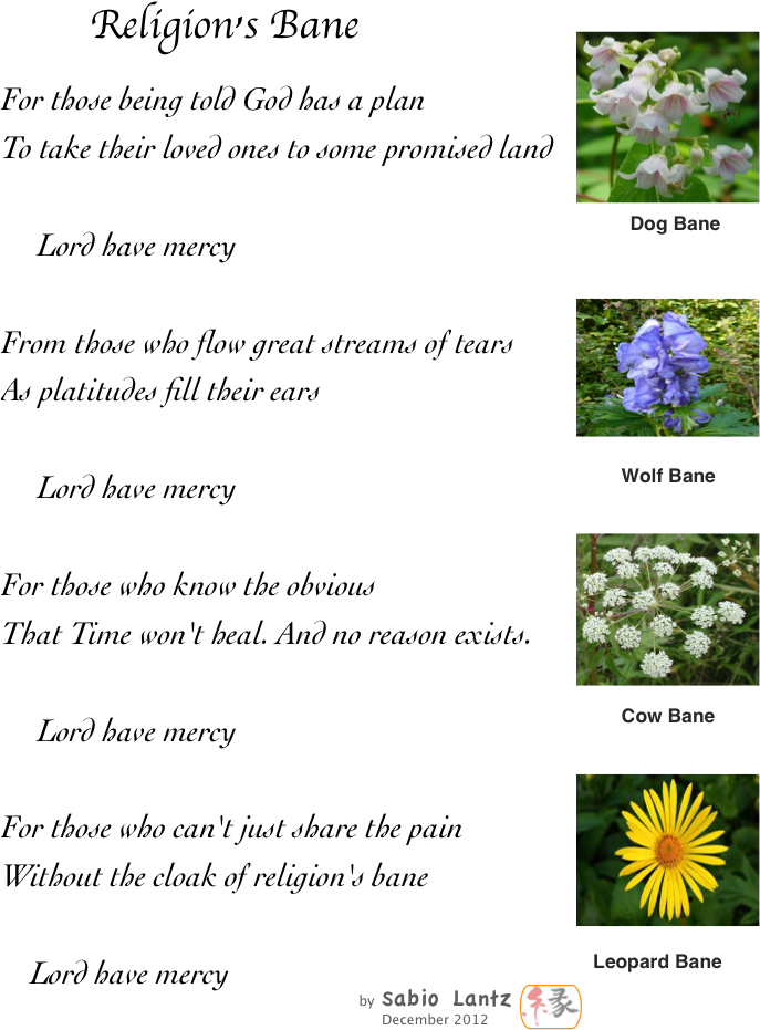 Religion's Bane - Water Hemlock Identification Clipart (686x940), Png Download