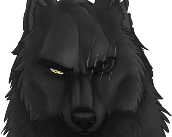Drawn Black Cat Black Wolf - Black Wolf Clipart (640x480), Png Download
