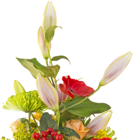 Flower Bouquet Png - Flower Bouquet Images Download Clipart (800x500), Png Download