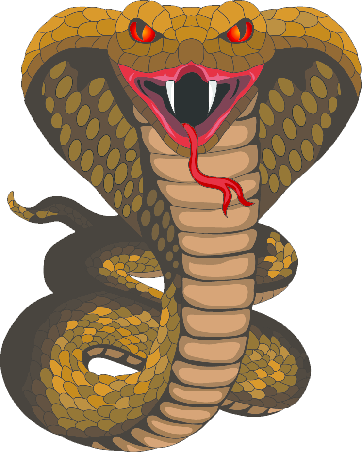 King Cobra Png Picture - King Cobra Png Clipart (746x932), Png Download