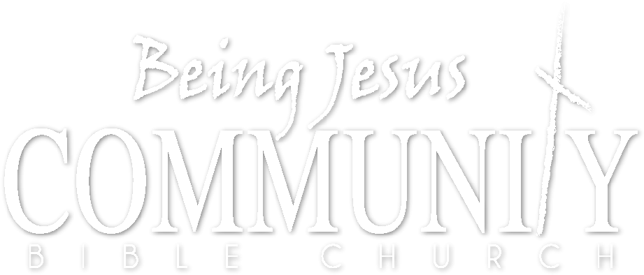 Cropped App Icon 3840 - Romanesque Bridge Of Besalú Clipart (1024x422), Png Download