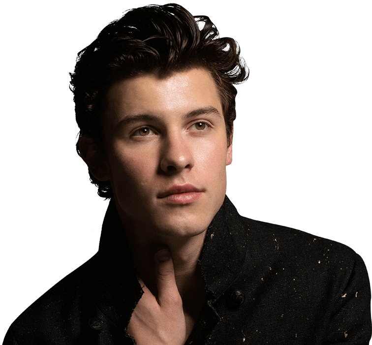 Celebrate The One Year Anniversary Of Shawn Mendes' - Shawn Mendes Clipart (756x701), Png Download