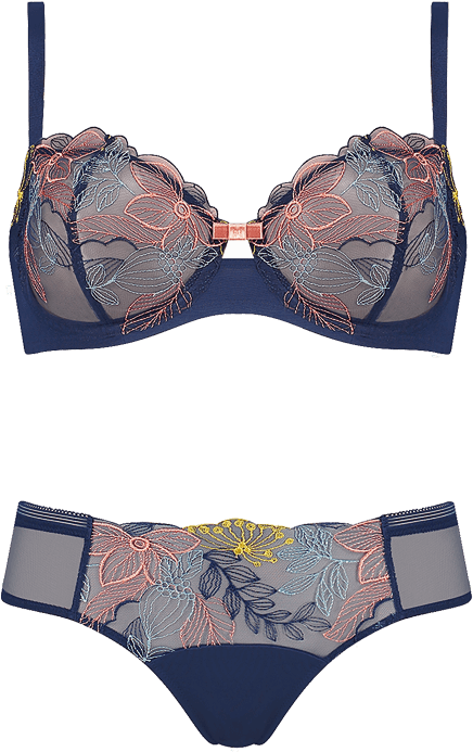 Find A Bra In Your Girlfriend's Lingerie Drawer With - Lingerie Clipart (478x770), Png Download