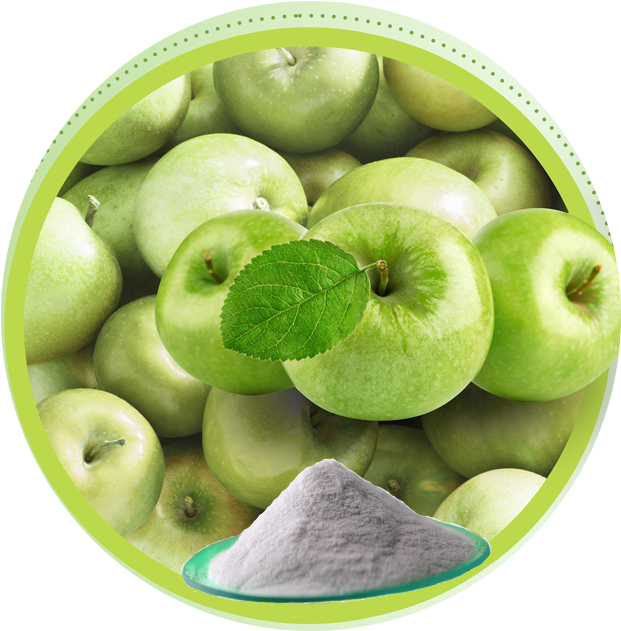 Apple Extract - Apple Fruits Clipart (631x630), Png Download