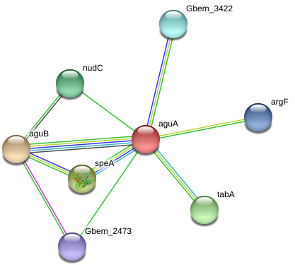 Circle Clipart (976x410), Png Download