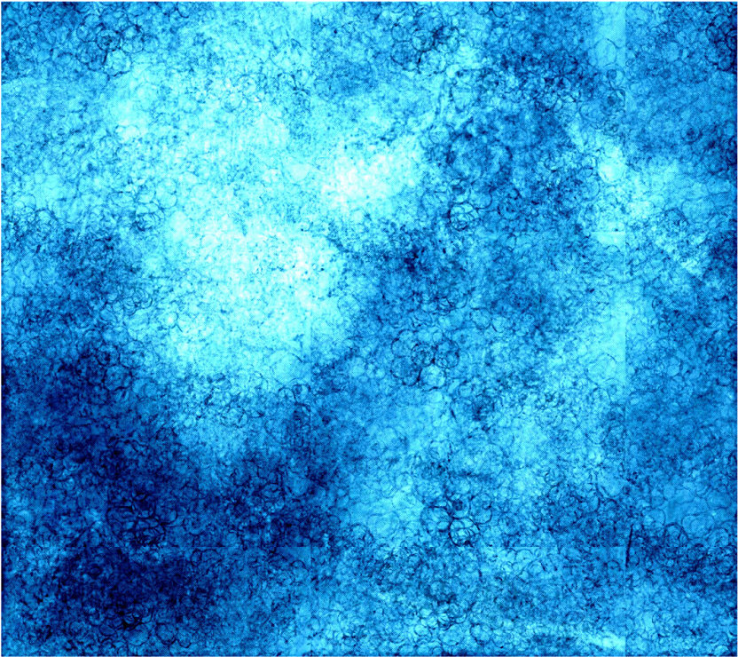 Cb Sunglass Png Download Free How To Edit Cb Sun Sunglass - Picsart Cb Sunglasses Png Clipart (1600x1598), Png Download