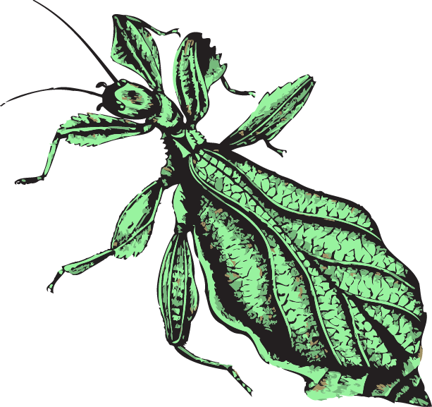 Publications - Illustration Clipart (613x577), Png Download