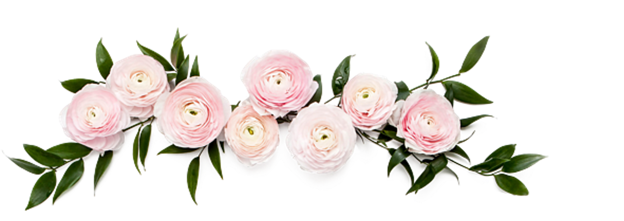 Flower Clipart (1422x480), Png Download