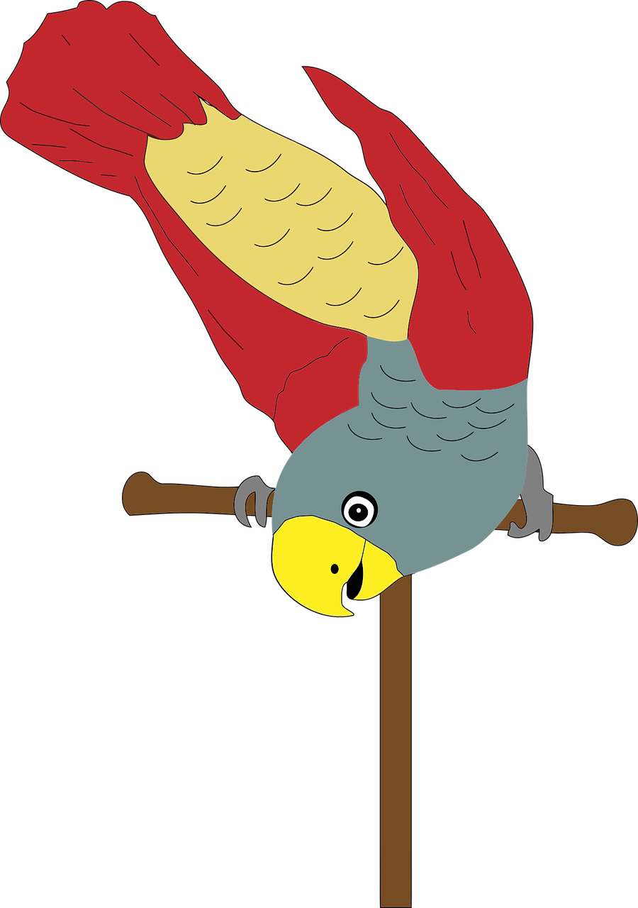 Animal Bird Colorful Flying Transparent Image - Perch Clipart - Png Download (900x1280), Png Download