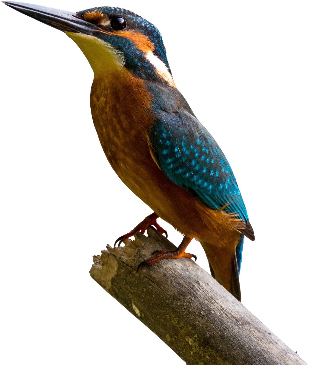 God Thank You For My Family Quotes Clipart (1234x1280), Png Download