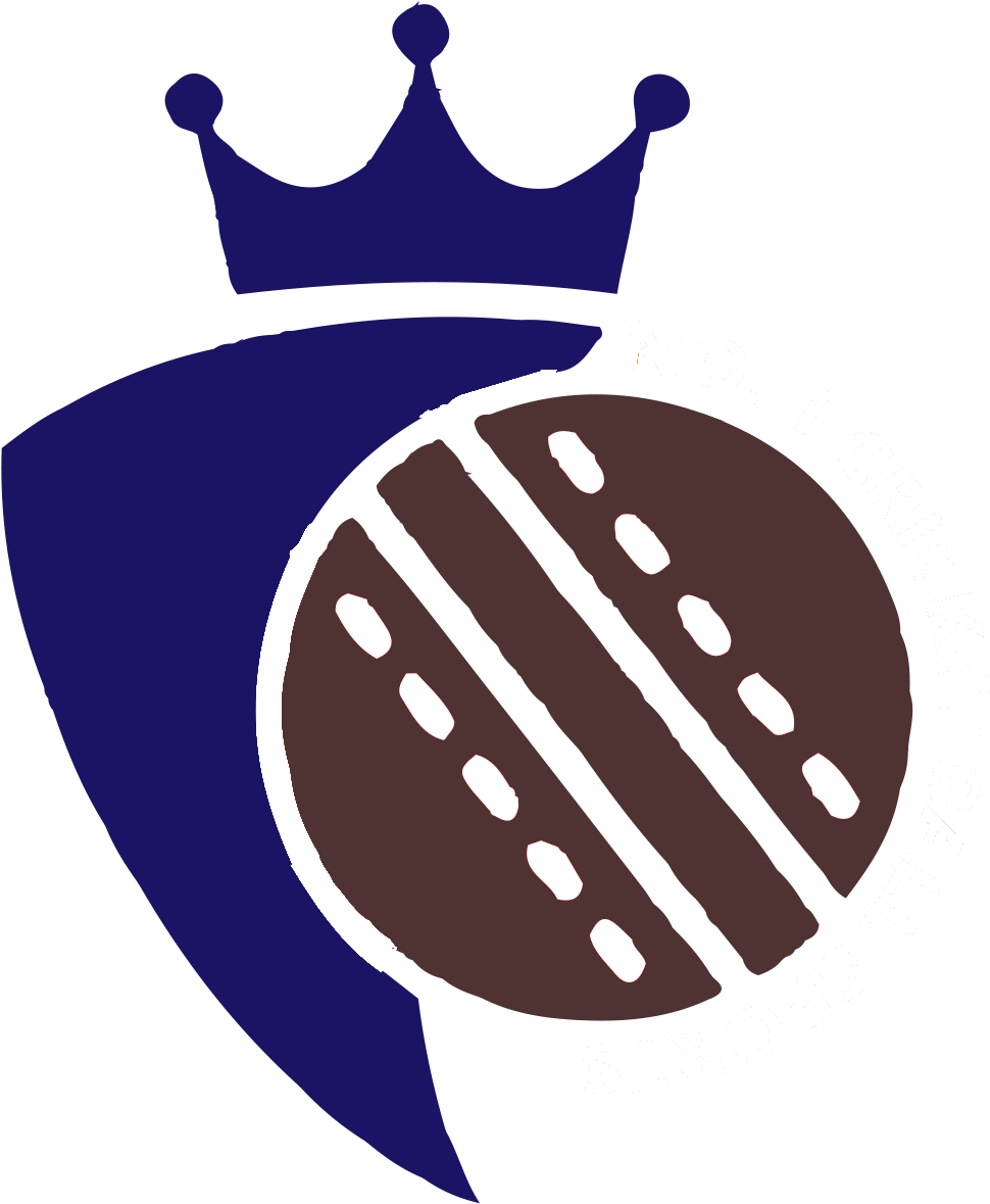 No1cricketball - Cricket Ball For Logo Png Clipart (1042x1222), Png Download