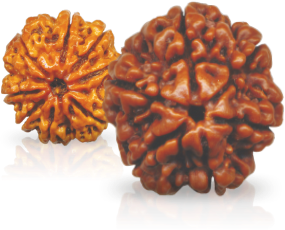 Central Cottage Industries Corporation Of India Is - Snow Skin Mooncake Clipart (1183x927), Png Download