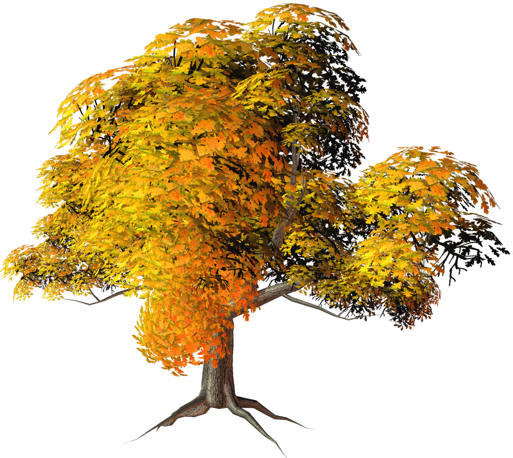 Source - - Fall Trees Transparent Background Clipart (600x536), Png Download