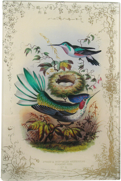 Bird Clipart (800x800), Png Download