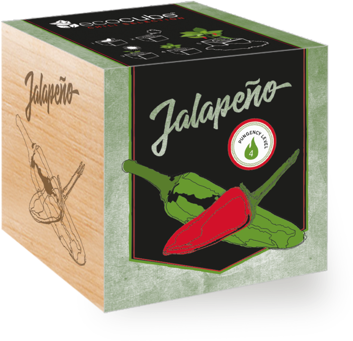 Chili Pepper Clipart (800x800), Png Download