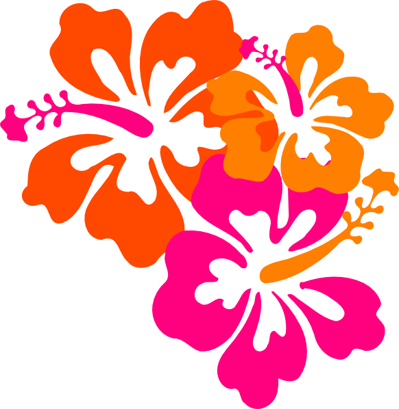 Hibiscus Clip Art - Png Download (582x598), Png Download
