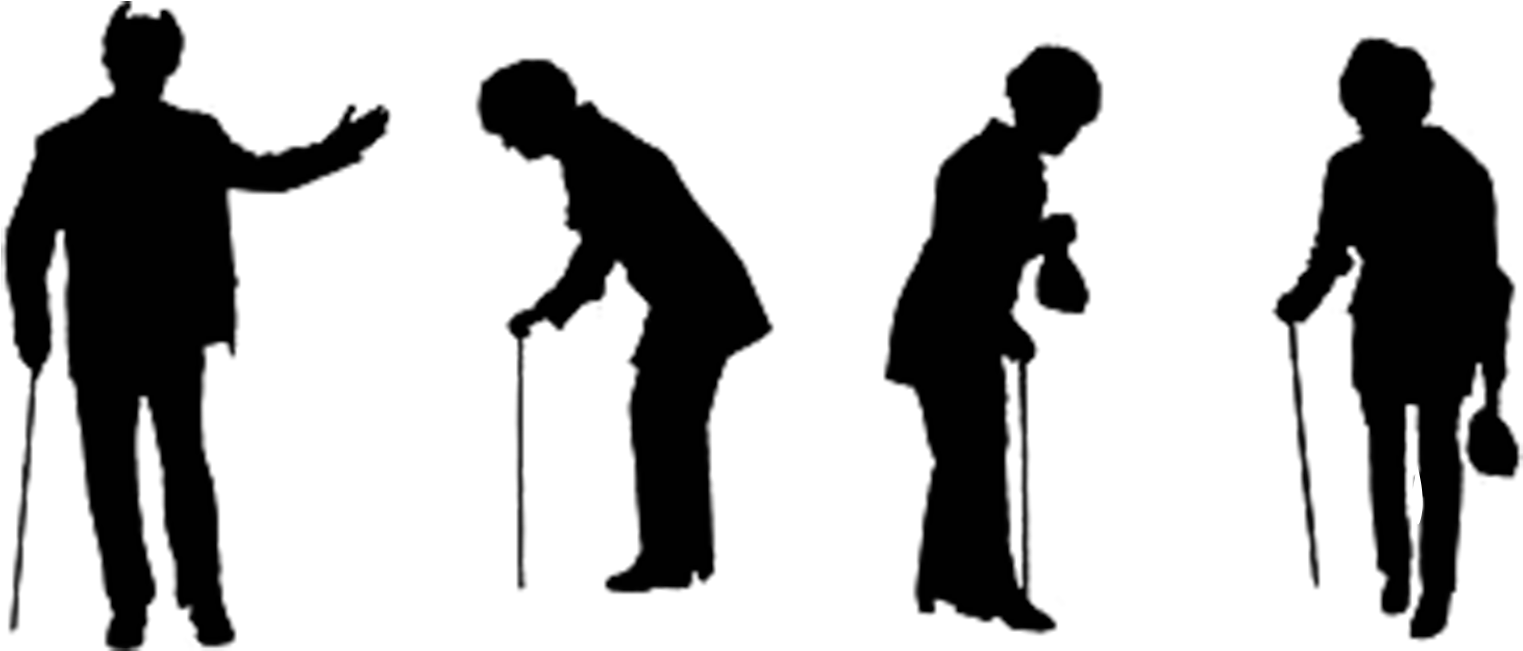 Silhouette Old Age Illustration - Png Old Man Shadow Clipart (1667x666), Png Download