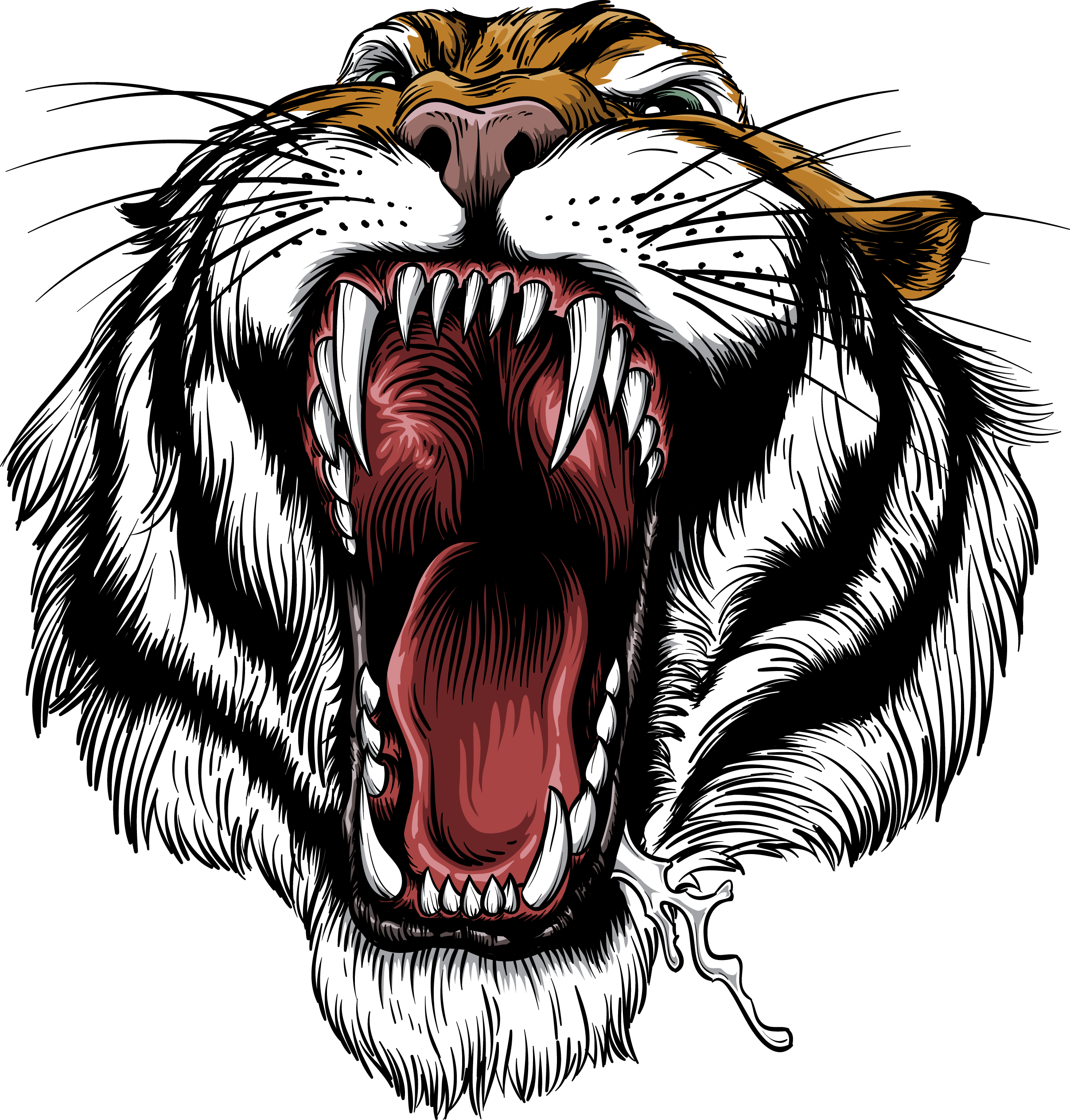 Siberian Tiger Roar Lion - Roaring Tiger Clipart (2415x2527), Png Download