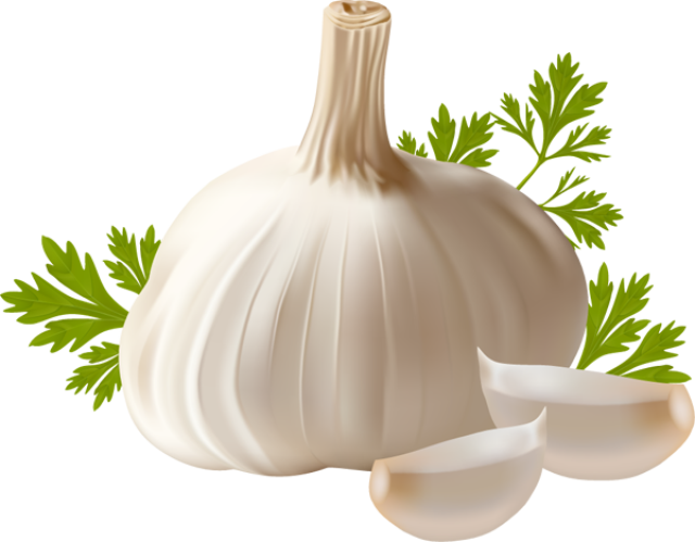 Garlic - Garlic Clipart Png Transparent Png (640x499), Png Download