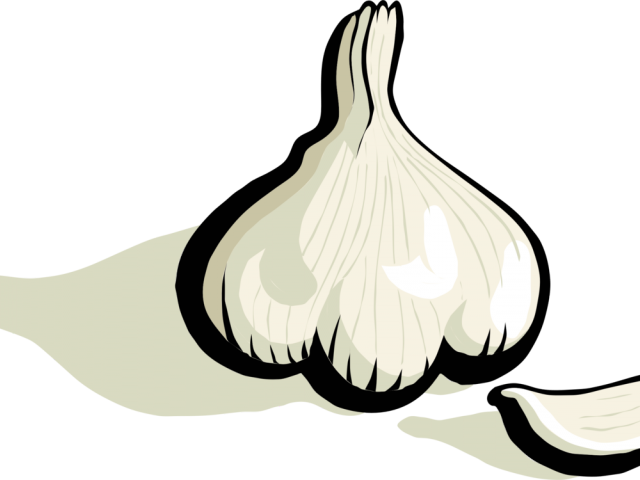 Garlic Clipart Garlic Bulb - Clipart Garlic - Png Download (640x480), Png Download