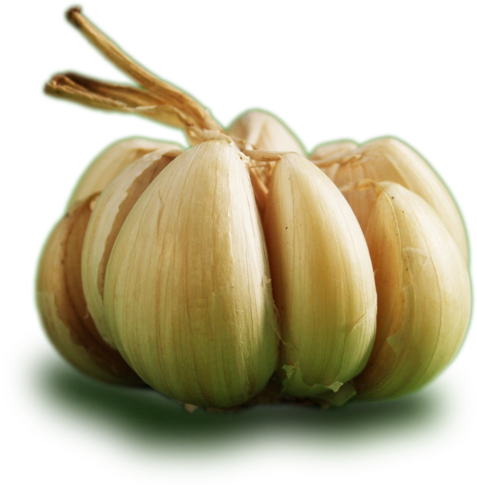 Ontos Garlic - Garlic Clipart (697x680), Png Download