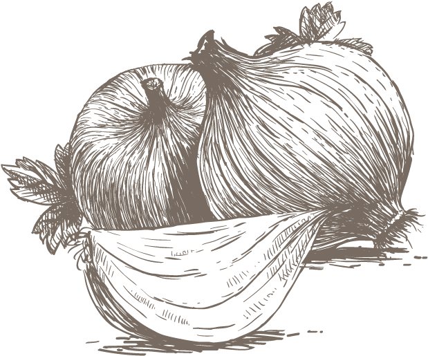 Onion Clipart (908x908), Png Download