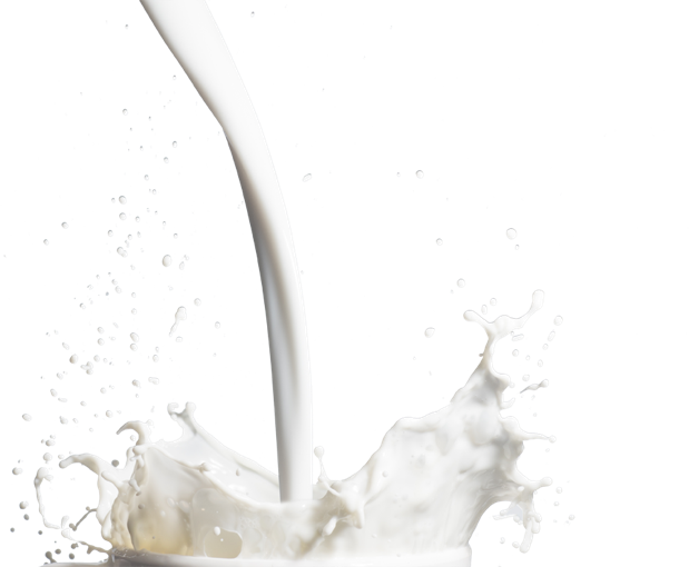 Milk Splash Png - Milk Splash Milk Png Clipart (619x510), Png Download