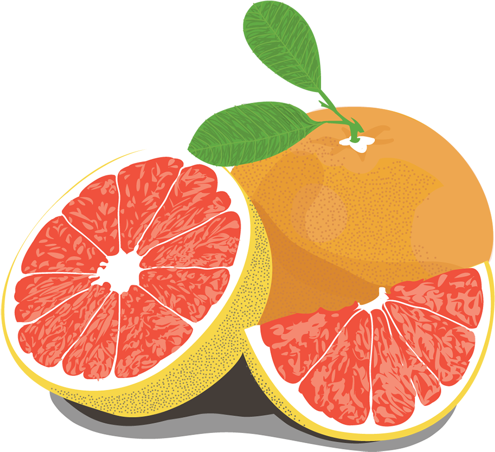 Grapefruit - Pomelo Clipart (1000x1000), Png Download