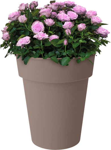 Home > Collection > Green Basics Top Planter High - Flowerpot Clipart (750x750), Png Download