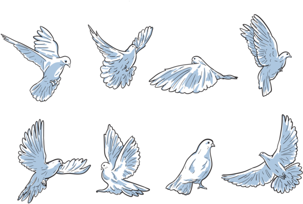 Free Hand Drawn Paloma Vectors - Palomita Con Olivo Volando Dibujo Animado Para Pintar Clipart (700x490), Png Download