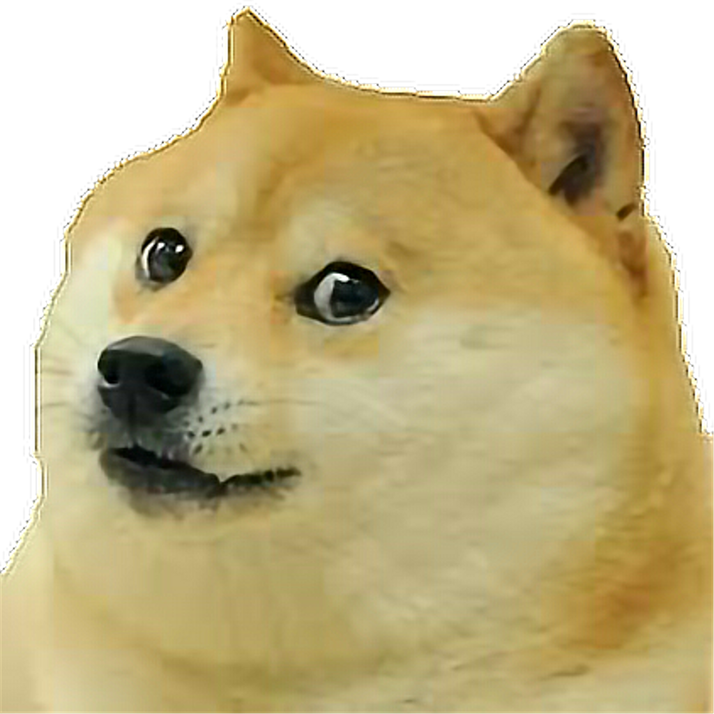 Dog Face Dogface Transparent Freetoedit - Please Let Me See The Kids Meme Clipart (1024x1024), Png Download
