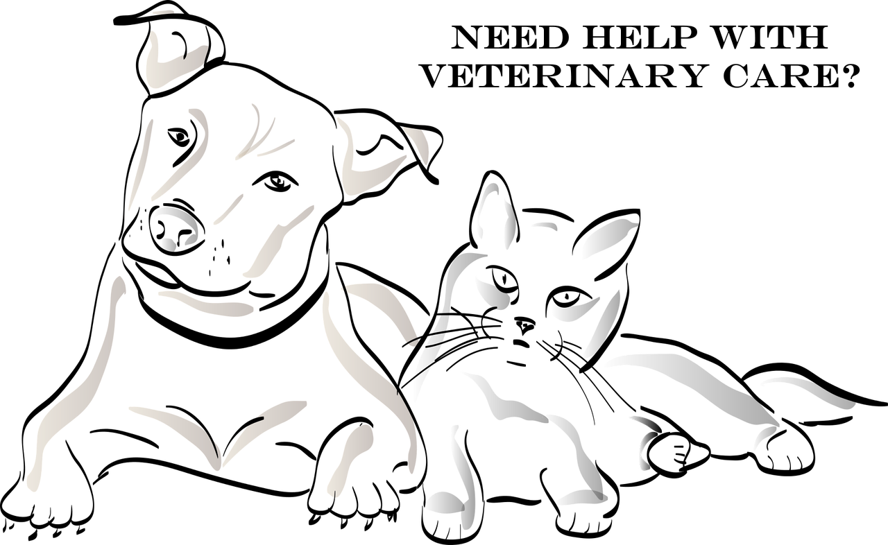 Help With Veterinary Costs - Cat Clipart (1280x786), Png Download