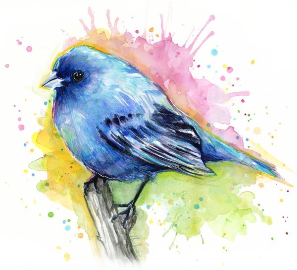 Clipart Freeuse Stock Indigo Bunting Blue Bird Watercolor - Olga Shvartsur Birds - Png Download (600x544), Png Download