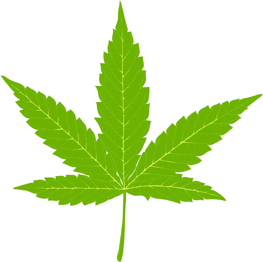Cannabis Clip Art Indian Leaves Illustrations Ⓒ - Cannabis Leaf - Png Download (1000x1000), Png Download