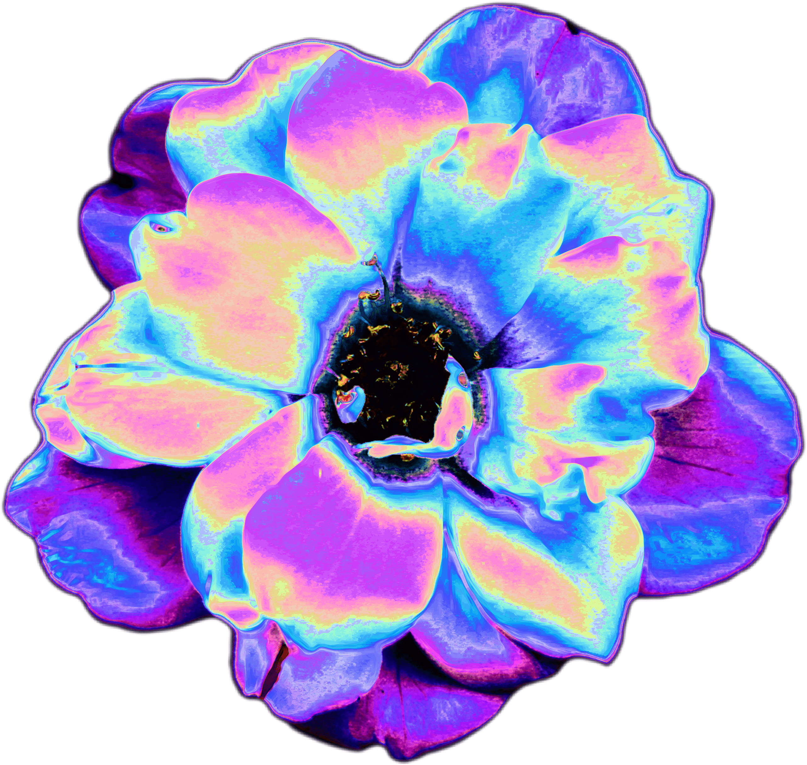 Holo Holographic Tumblr Vaporwave Aesthetic Flower - Aesthetic Tumblr Png Clipart (2896x2896), Png Download
