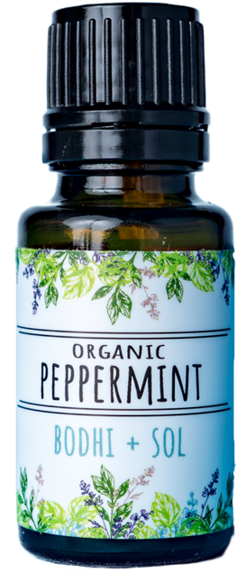 Organic Peppermint Essential Oil - Hyssopus Clipart (640x640), Png Download