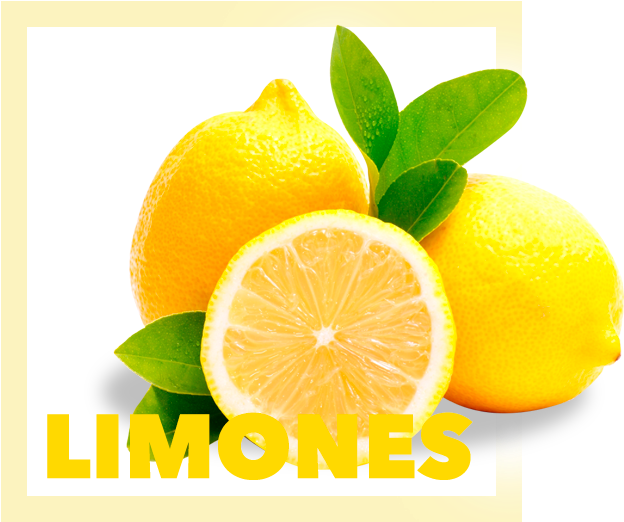 Lemon Tree Png Clipart (720x547), Png Download