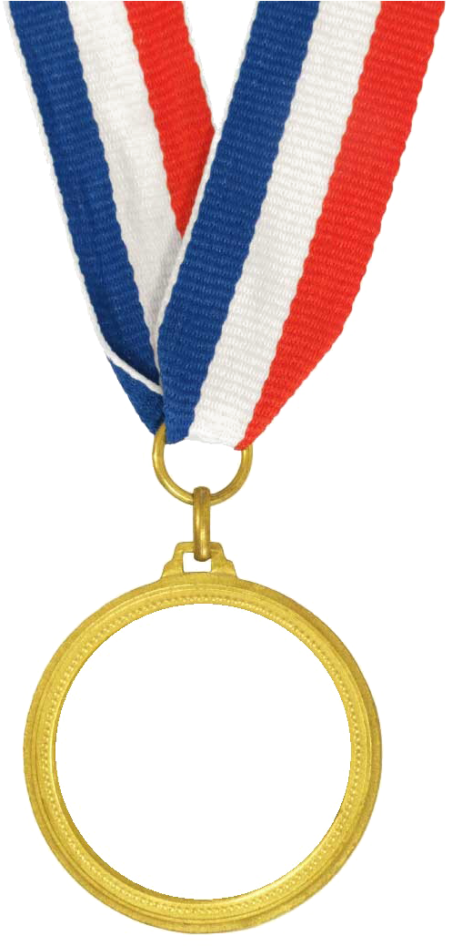Gold Medal Png File - Medals And Ribbons Png Clipart (537x1038), Png Download