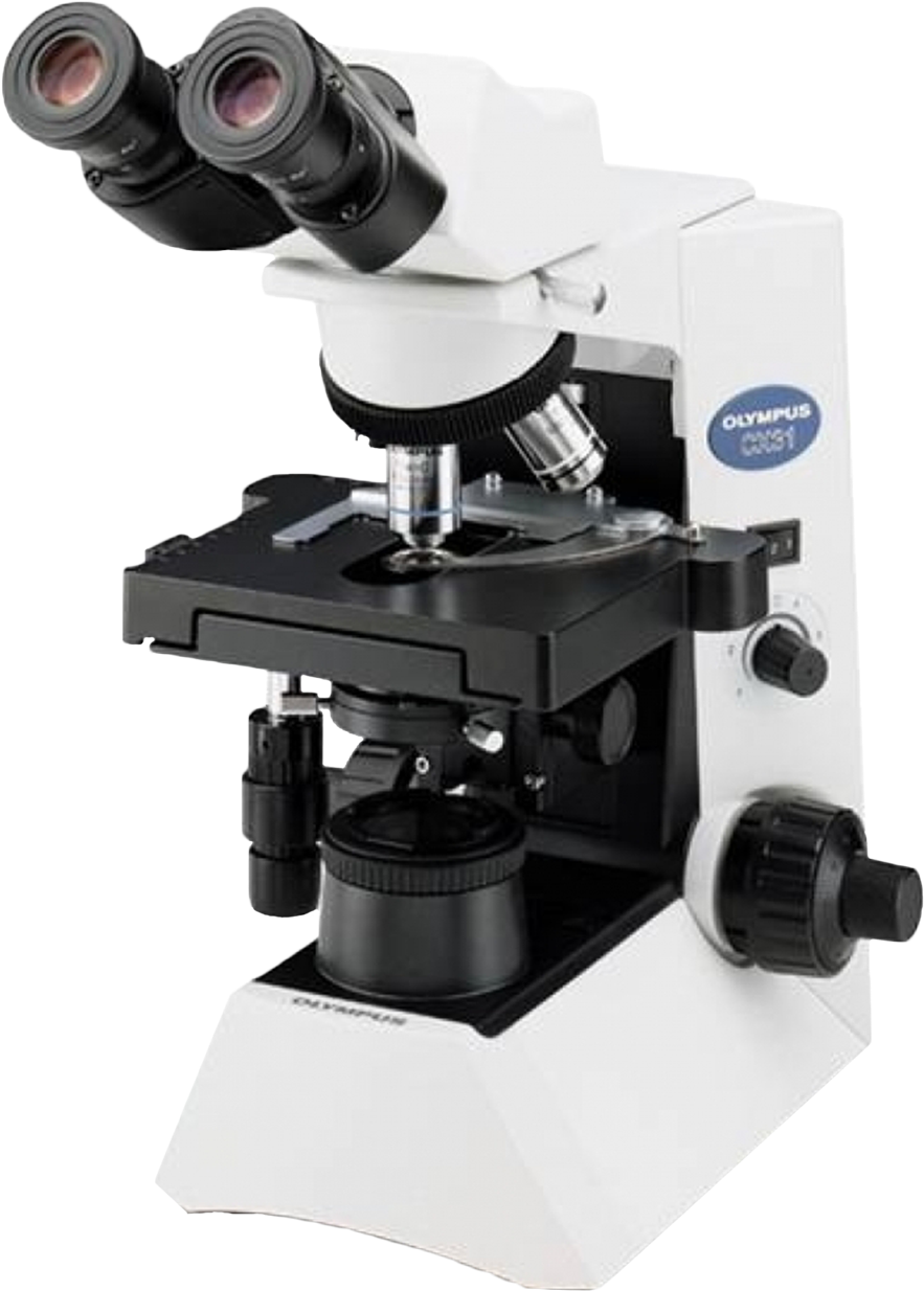 Olympus Cx31 Upright Biological Microscope - Microscope Olympus Cx 23 Clipart (1200x1382), Png Download