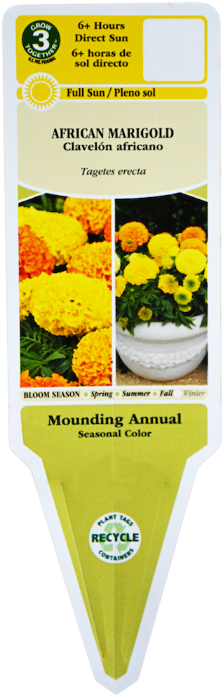 Understanding How To Decipher A Plant Tag Is The First - Marigold Taishan Mix Clipart (363x1024), Png Download