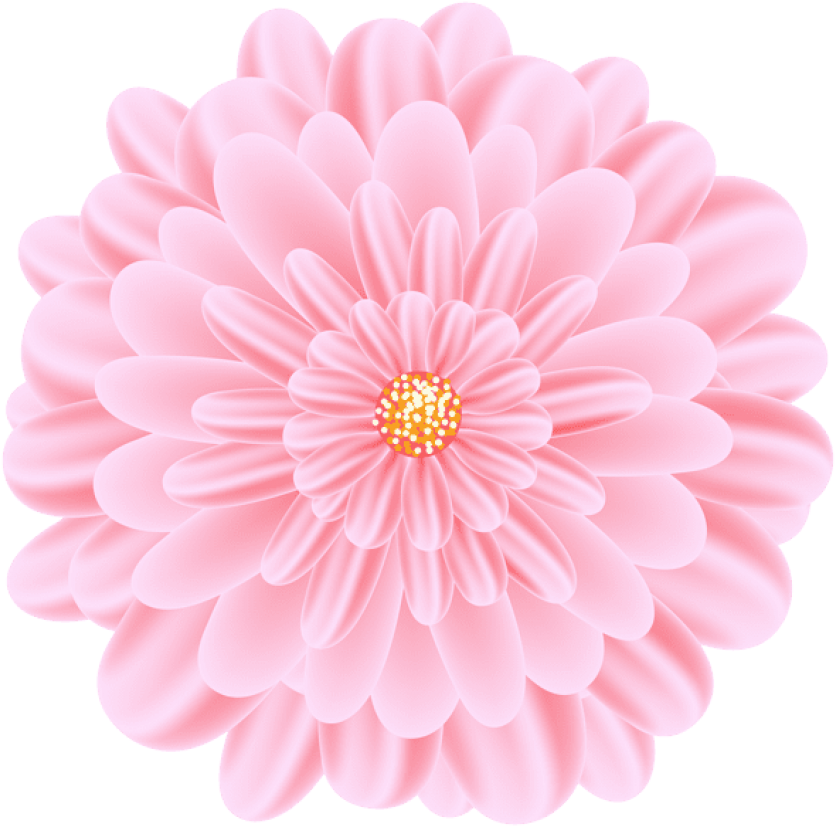 Free Png Flower Png Images Transparent - Common Zinnia Clipart (850x841), Png Download