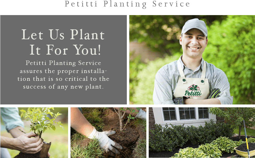 Menu - Gardening - Photograph Clipart (980x641), Png Download