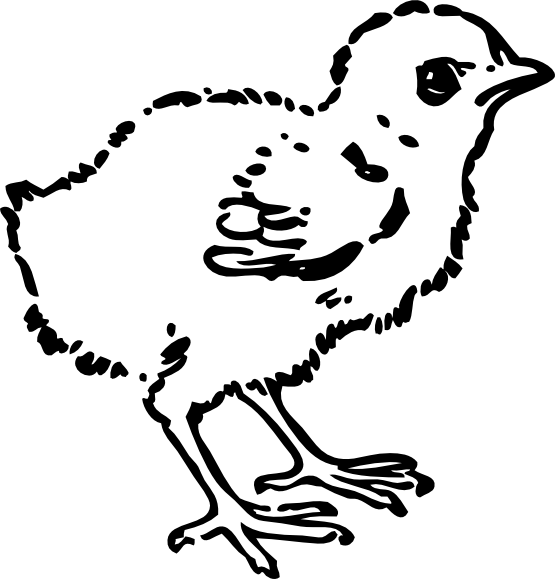 Baby Chick Tattoo - Chick Clip Art Black And White - Png Download (555x579), Png Download