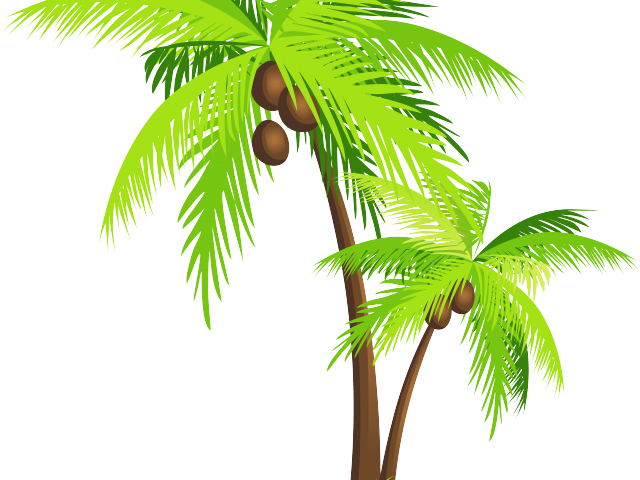 Animated Coconut Tree - Coconut Tree Png Transparent Clipart (640x480), Png Download