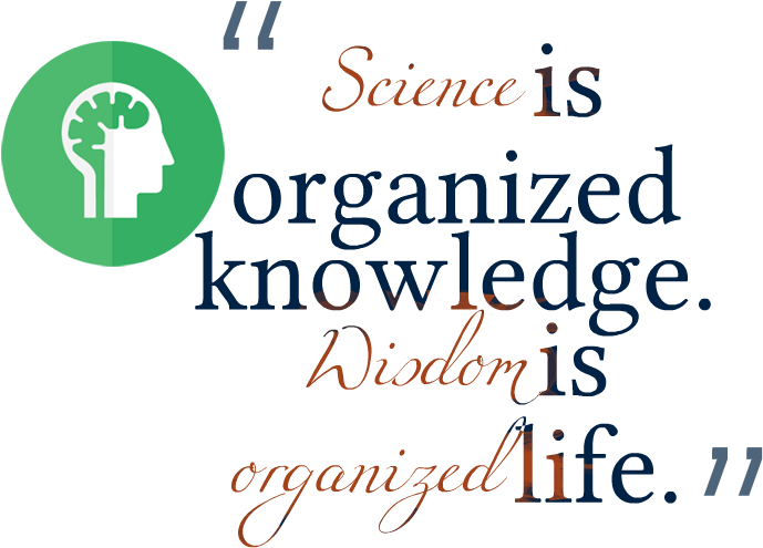 Knowledge Quotes Free Png Image - Calligraphy Clipart (749x516), Png Download