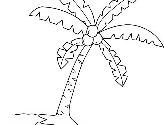 Plant Clipart Coconut Tree - Clip Art - Png Download (640x480), Png Download