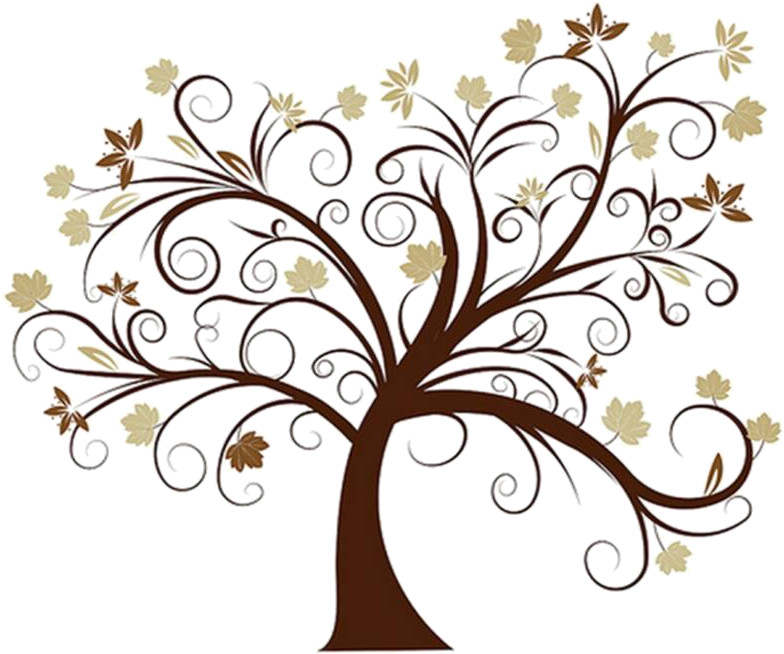 Family Tree Png Hd - Clipart Family Tree Tree Transparent Png (800x678), Png Download