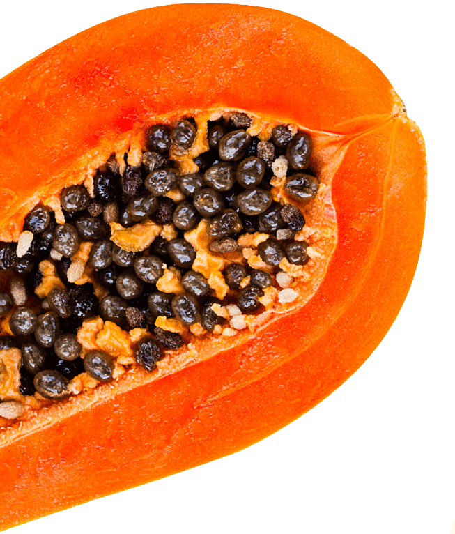 Papaya Clipart (653x766), Png Download