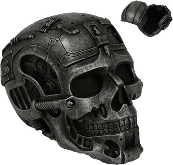 Price Match Policy - Cyborg Skull Png Clipart (555x555), Png Download